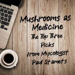 Mushrooms as Medicine The Top Three Picks from Mycologist Paul Stamets