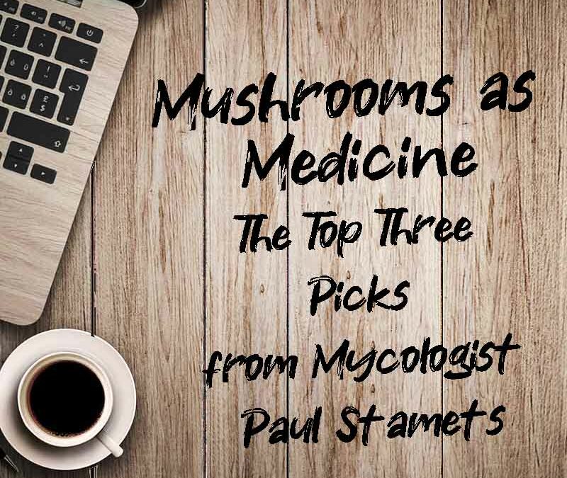 Mushrooms as Medicine