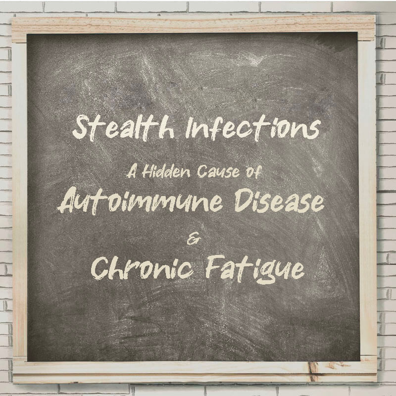 Stealth Infections A Hidden Cause of Autoimmune Disease and Chronic Fatigue