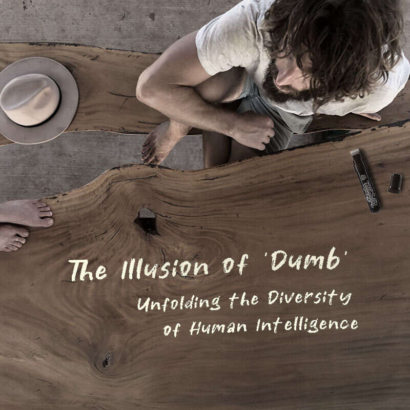 The Illusion of 'Dumb'