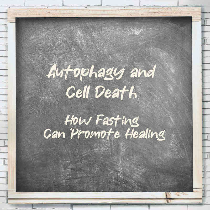 Autophagy and Cell Death: How Fasting Can Promote Healing