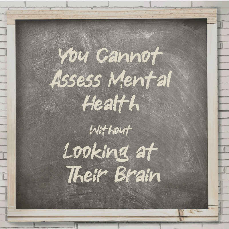 You Cannot Assess Mental Health Without Looking at Their Brain