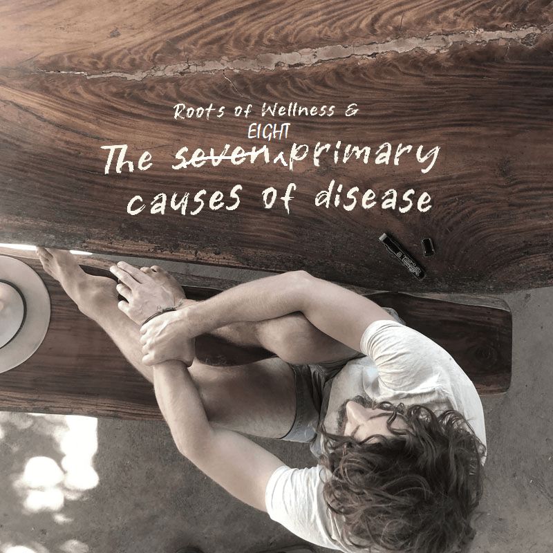 Roots of Wellness & The Eight Primary Causes of Disease