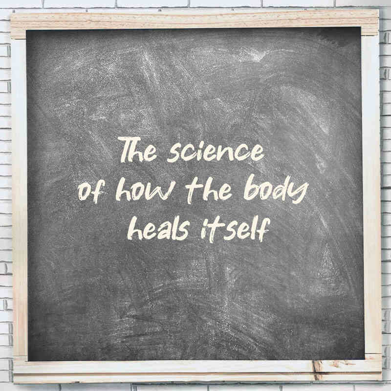 The science of how the body heals itself