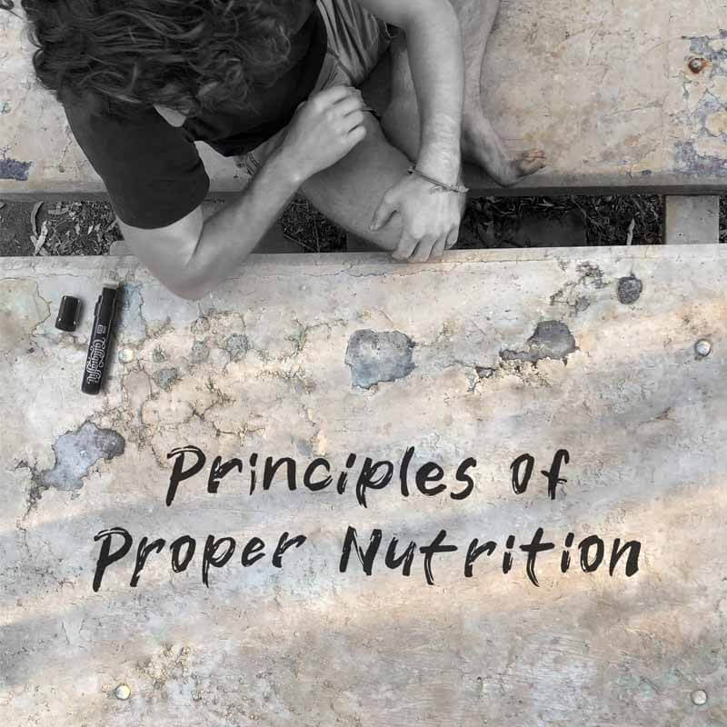 Principles of Nutrition: Overview