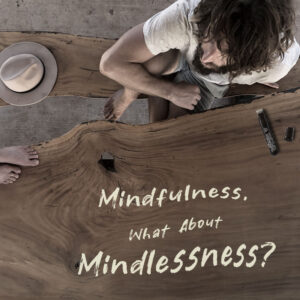 Mindfulness, What About Mindlessness?