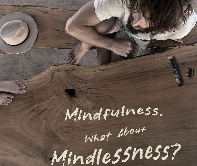 Mindfulness, what about Mindlessness?