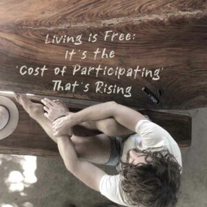 Living is Free: It’s the Financial and Moral ‘Cost of Participating’ That's Rising